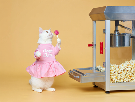 KI-Bildgenerierung Reve Katze im Tutu